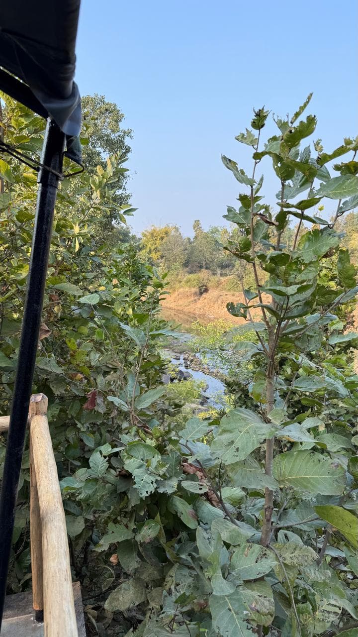 Ready to escape to Kanha - Hideaway Resort